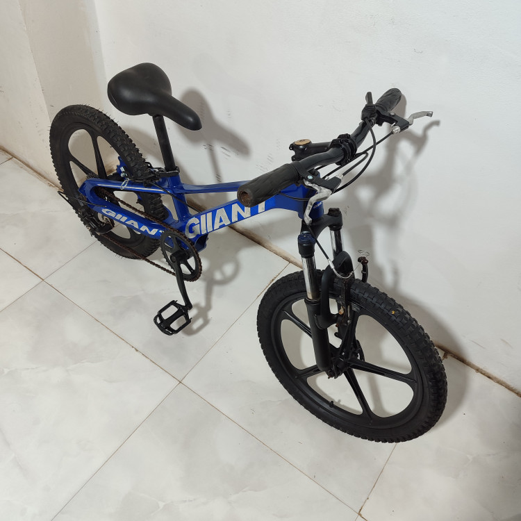 دوچرخه سایز ۲۰ دنده ای با تنه منیزیمی (استوک)